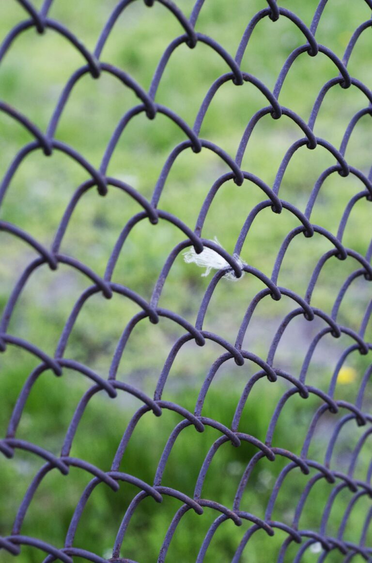 A detailed close-up of a chain link fence with a soft focus on green nature background.