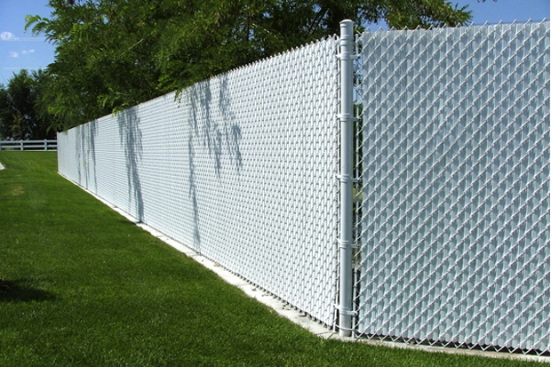 chain link fences
