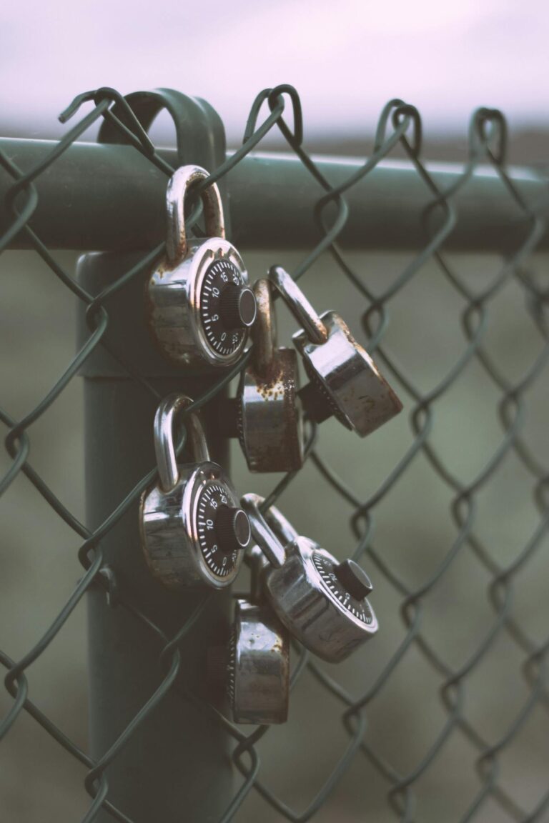 Multiple padlocks securing a green chain link fence, symbolizing safety and protection.